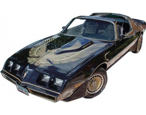 Firebird Decal Kit, Dark Gold Trans Am, Turbo, Black, Special Edition, 1981