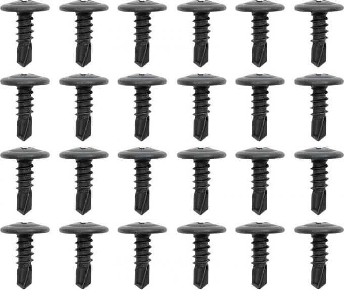 OER 1967-69 Camaro, Firebird, Roof Rail Weatherstrip Channel Screw Set, 24 Piece Set *R1094