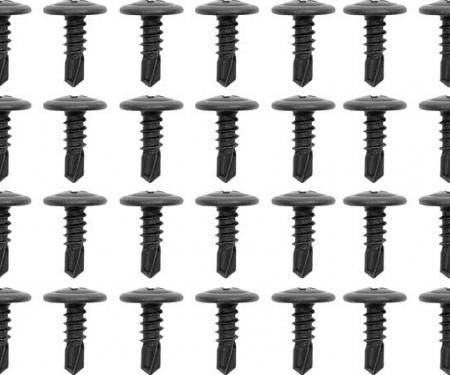 OER 1970-1981 Camaro, Firebird, Roof Rail Weatherstrip Channel Screw Set, 36 Piece Set *R1095